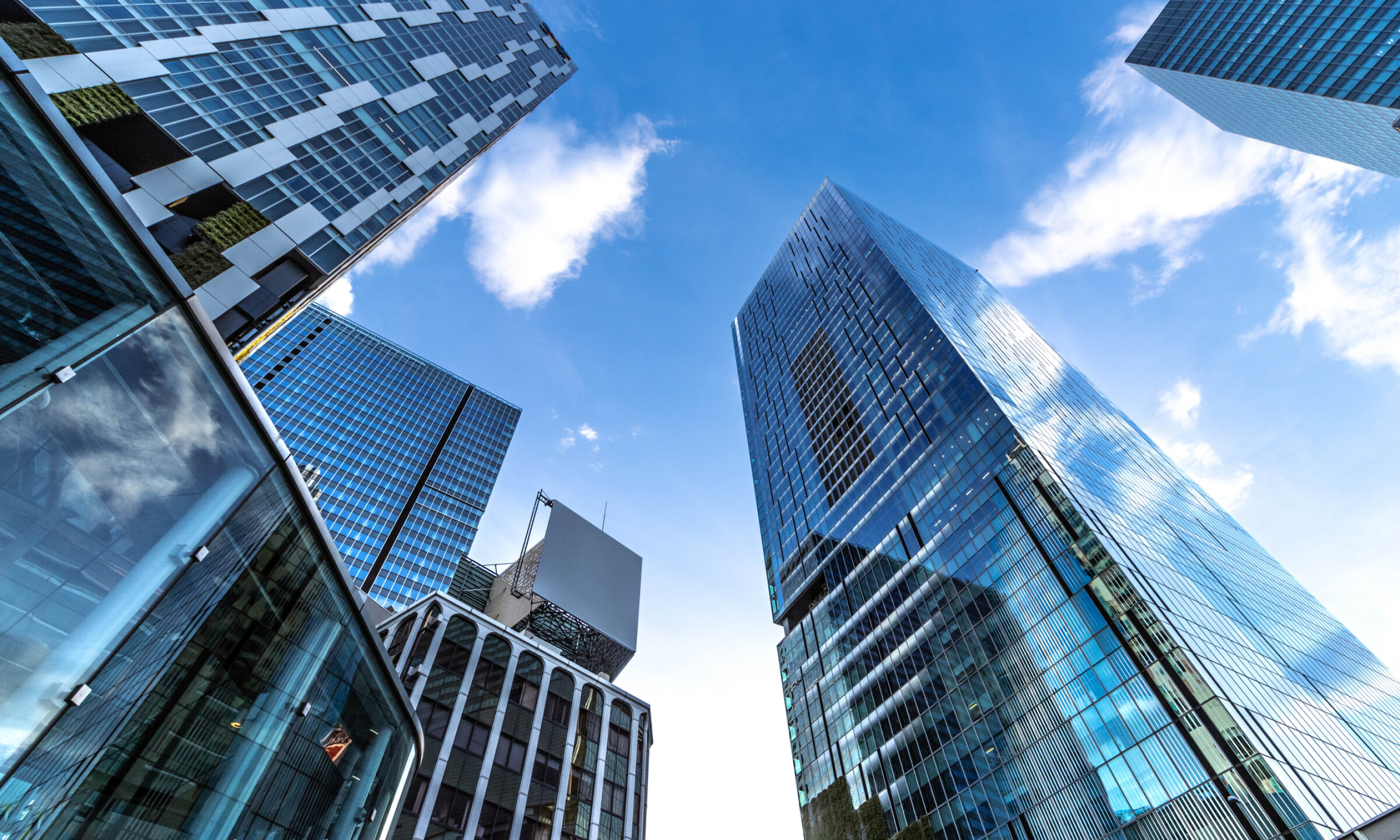 Wealth Management Solutions